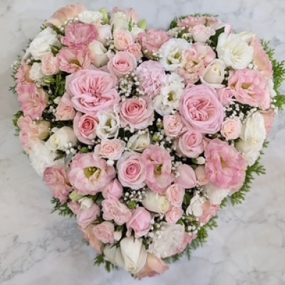 Heartfelt Bloom Tribute - The Heartfelt Bloom Tribute is a stunning heart-shaped floral arrangement symbolizing love, remembrance, and serenity. Overflowing with delicate shades of blush pink and creamy white roses, lisianthus, and baby's breath, this arrangement is artfully framed with soft greenery.