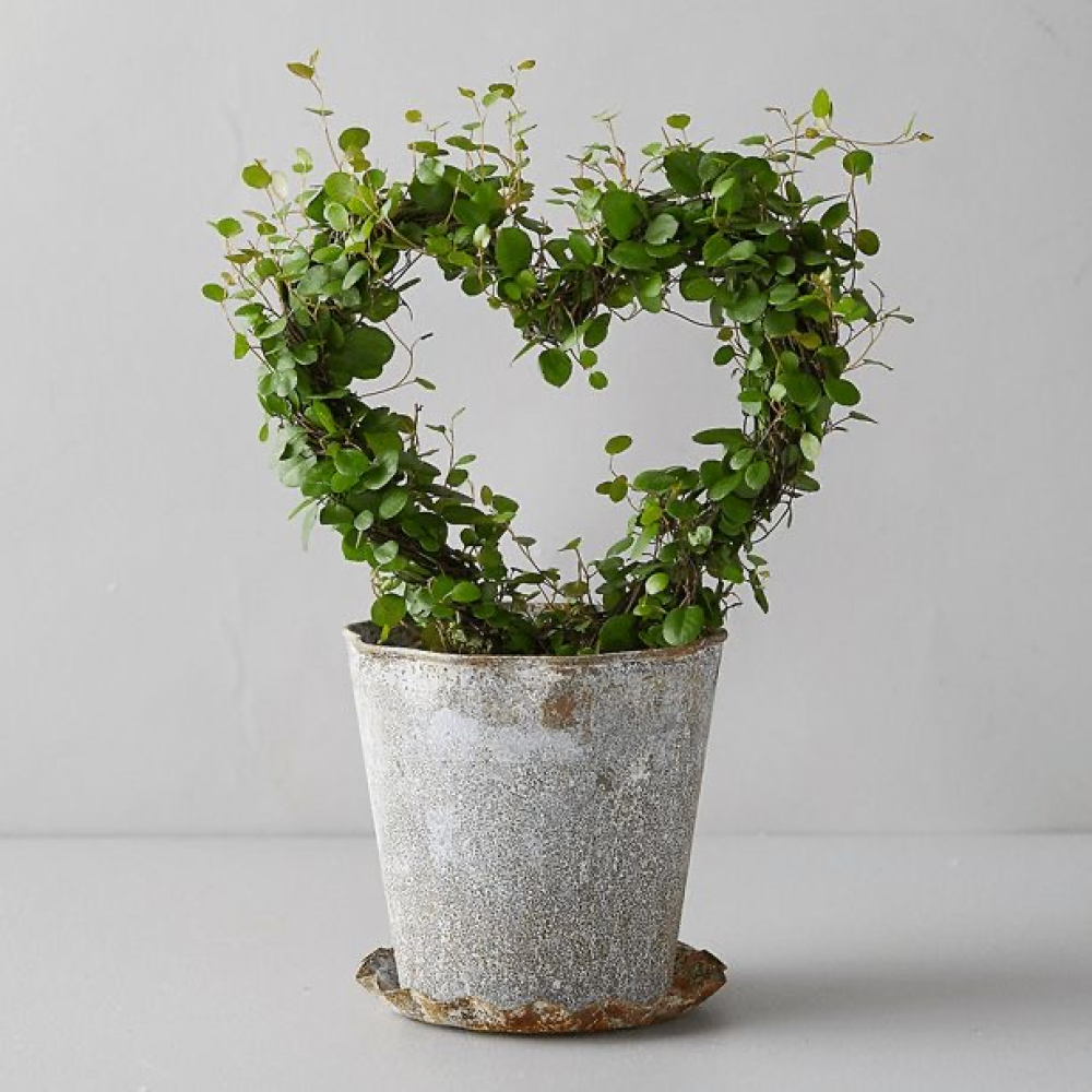 Heart of Green Topiary