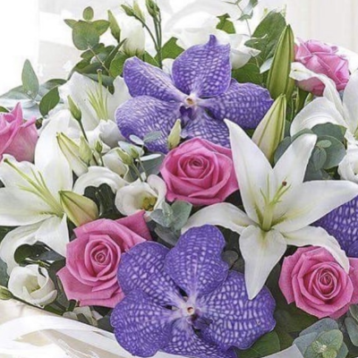 Royal Bloom Bouquet - A luxurious and vibrant bouquet bursting with color and elegance, featuring striking purple Vanda orchids, classic white lilies, and soft pink roses. Accented with white lisianthus, lush greenery, and eucalyptus leaves, this stunning floral arrangement blends exotic charm with timeless beauty. Ideal for celebrations, special occasions, or to brighten any space with a touch of regal sophistication.