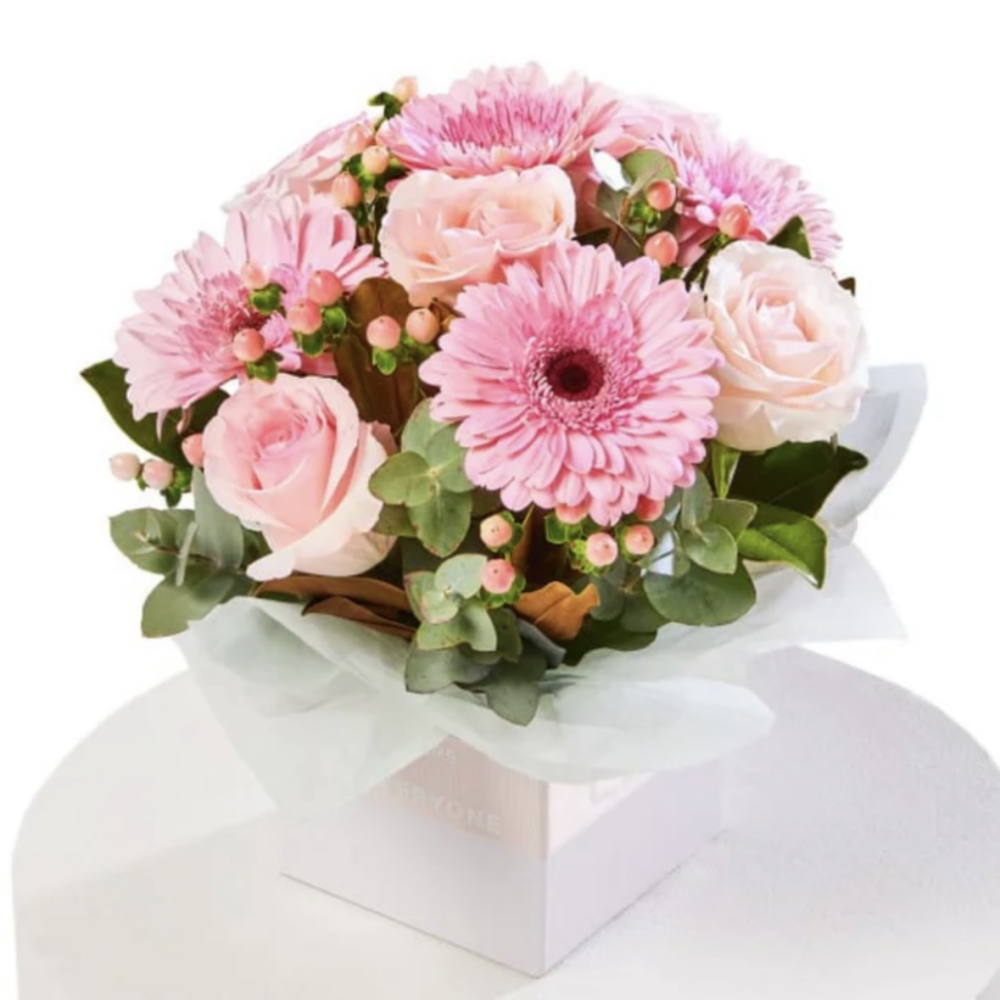 Rose Blush