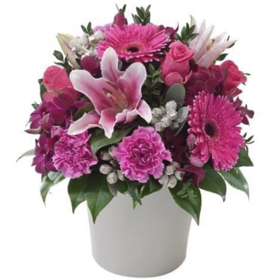 Berry Bliss - Berry Bliss is a gorgeous pot arrangement of flowers in a mix of different pink tones. Stunning pot arrangement.