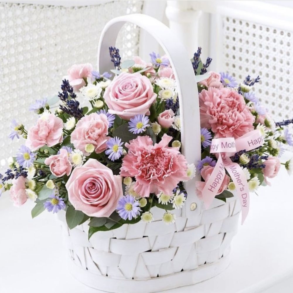 Blissful Blooms