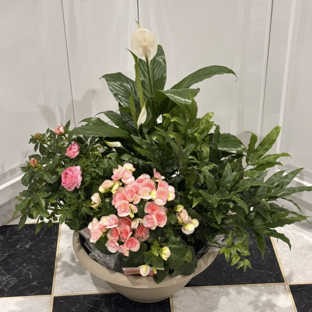 Lush Botanical