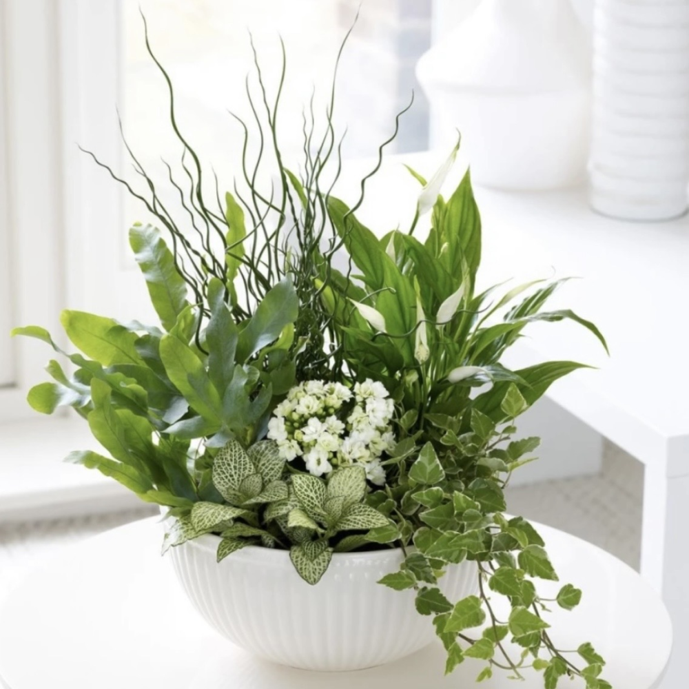 Serenity Botanical Bowl