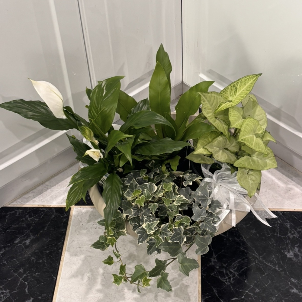 Petite Botanical Bowl